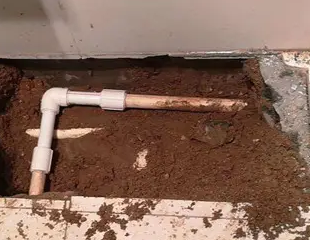 杭锦测漏水哪家好