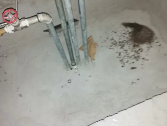 杭锦卫生间测漏水价格明细