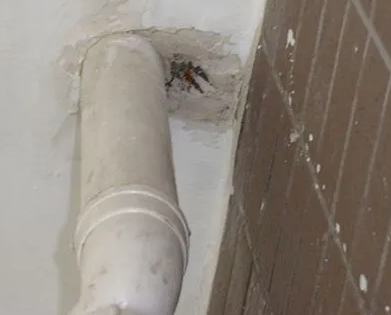 杭锦漏水检测哪家好